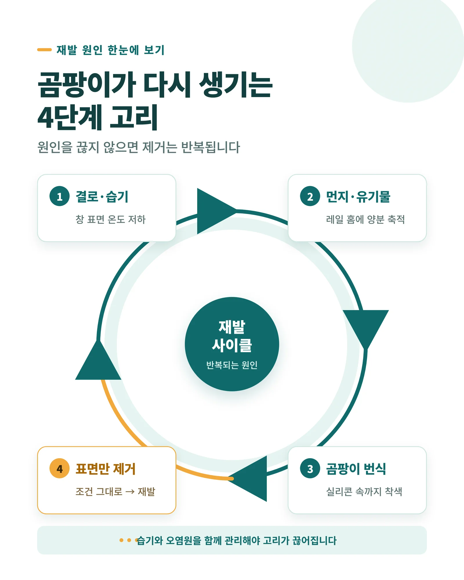 곰팡이가 다시 생기는 4단계 고리 인포그래픽 — 결로·습기, 먼지·유기물, 곰팡이 번식, 표면만 제거